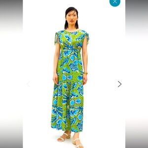 Vera for Anthropologie satin green blue bonnet floral dress $258 boho spring